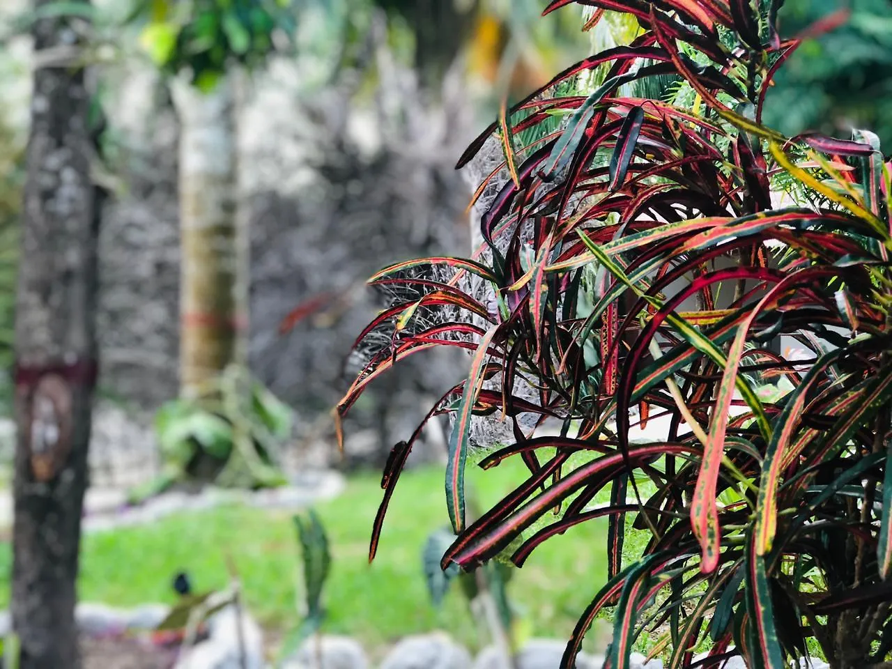 Tierra Maya Hotel Spa & Sanctuary Bacalar